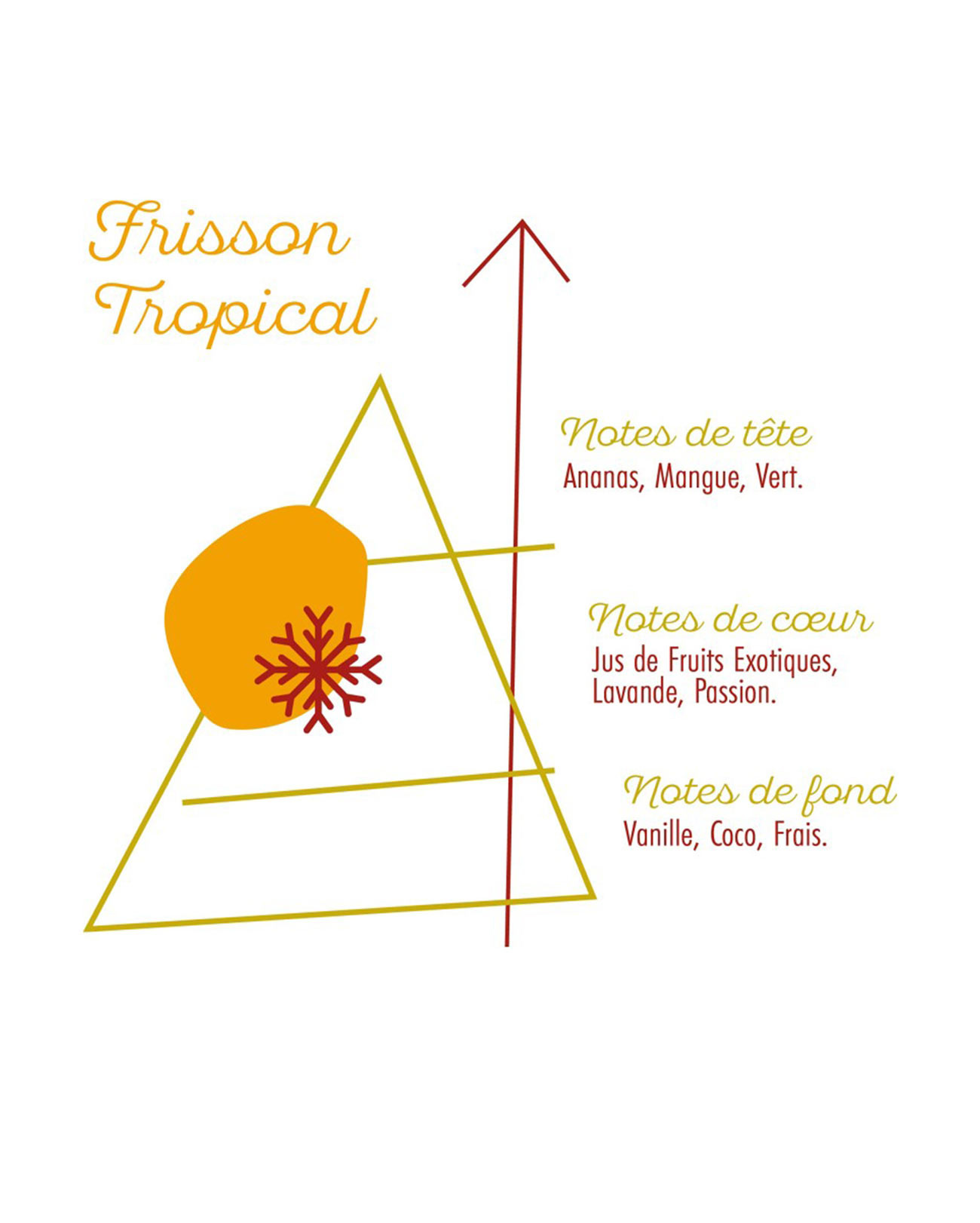 E-liquide Frisson Tropical 50 ml Nuage Polaire pyramide des saveurs