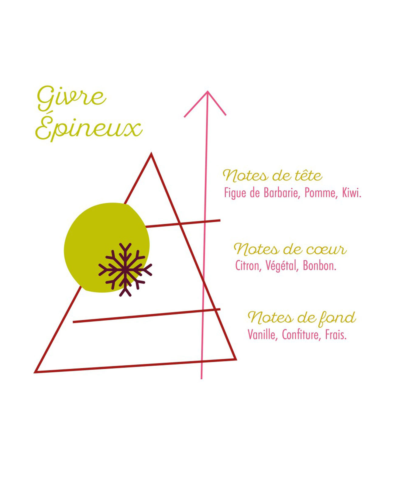 E-liquide Givre Epineux 50 ml Nuage Polaire pyramide des saveurs
