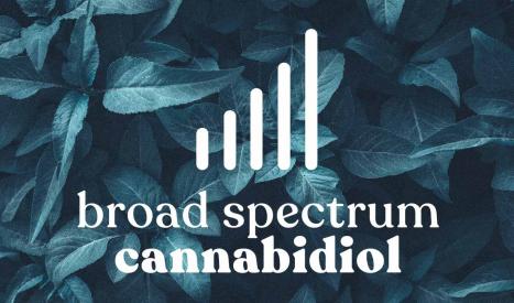 Les e-liquides CBD Broad Spectrum regroupent un large spectre de cannabinoïdes qui agissent en synergie