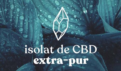 L'isolat de CBD composé de CBD pur complètement isolé des autres cannabinoïdes, terpènes et flavonoïdes.